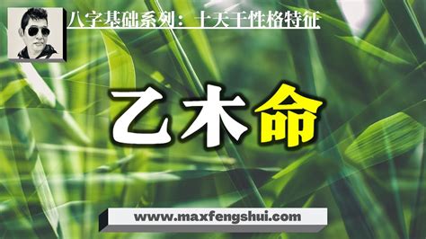 乙木命格|八字乙木代表什么